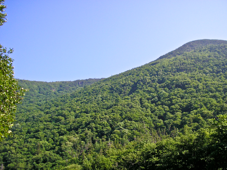 The Cape Breton Highlands