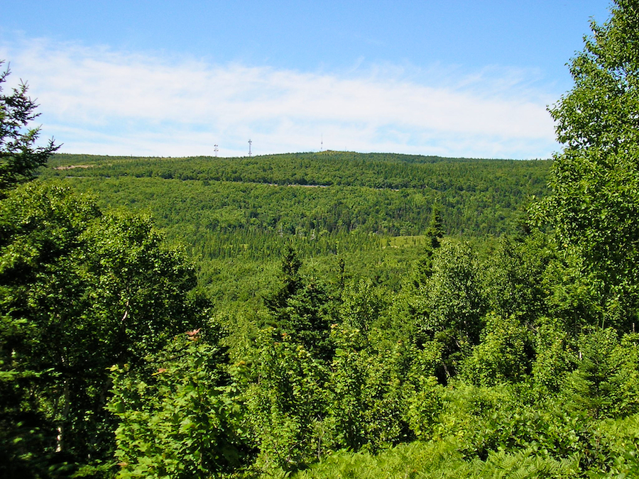 Looking across the ravine to Smokey Mountain