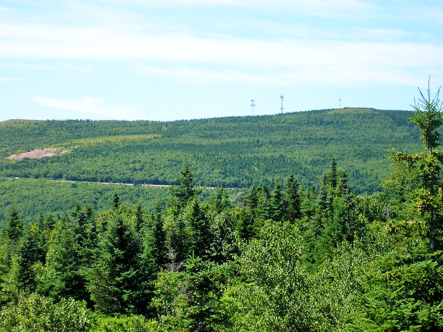 Smokey Mountain summit from the fourth look-off