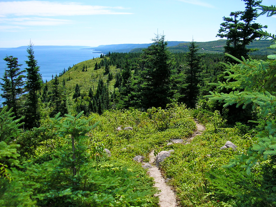 Trail before the fifth look-off