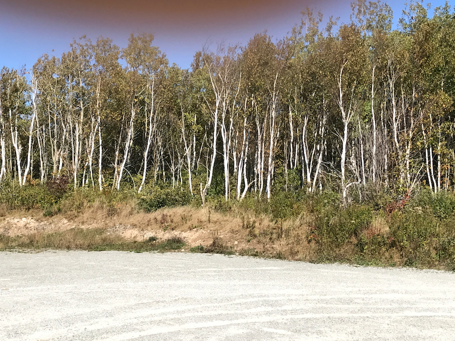 2016.10.06_img_2995.jpg
