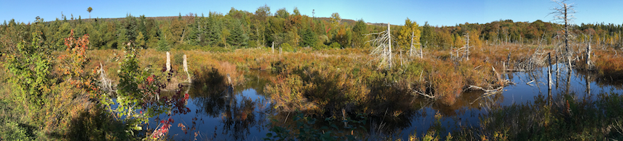 2016.10.06_img_3004.jpg