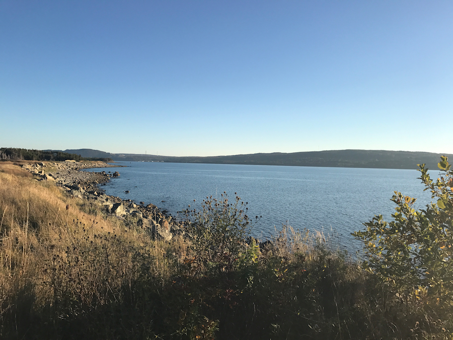 2016.10.06_img_3072.jpg