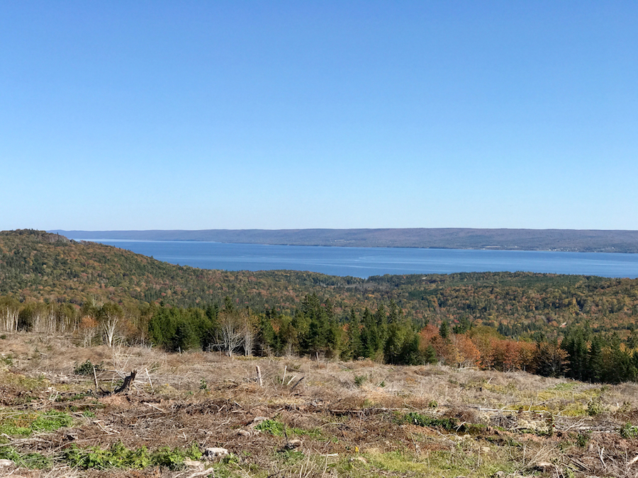 2016.10.08_img_3129.jpg