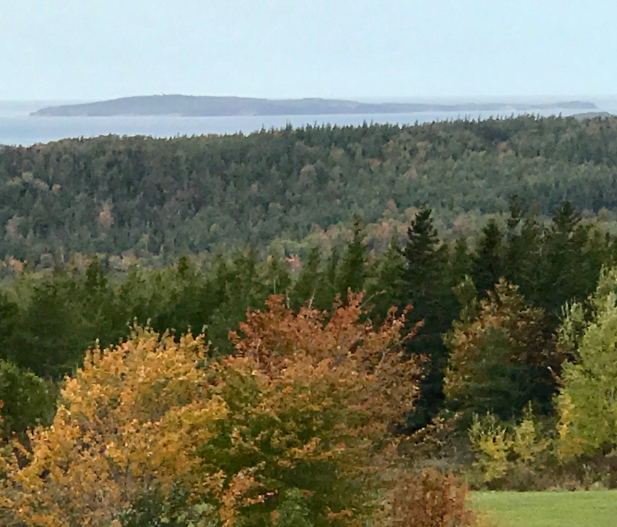 2016.10.13_img_3370.jpg
