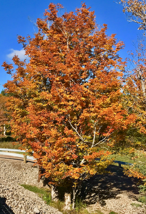 2016.10.15_img_3390.jpg