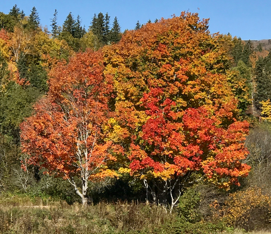 2016.10.15_img_3393.jpg