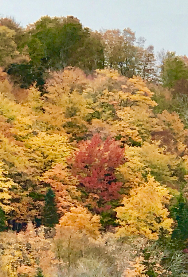 2016.10.17_img_3554.jpg