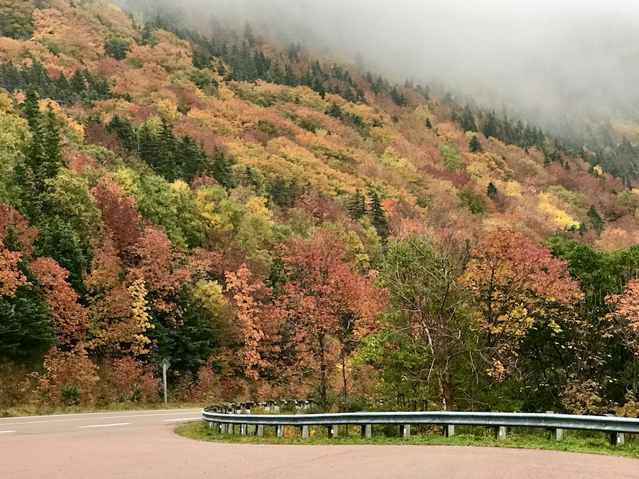 2016.10.17_img_3563.jpg