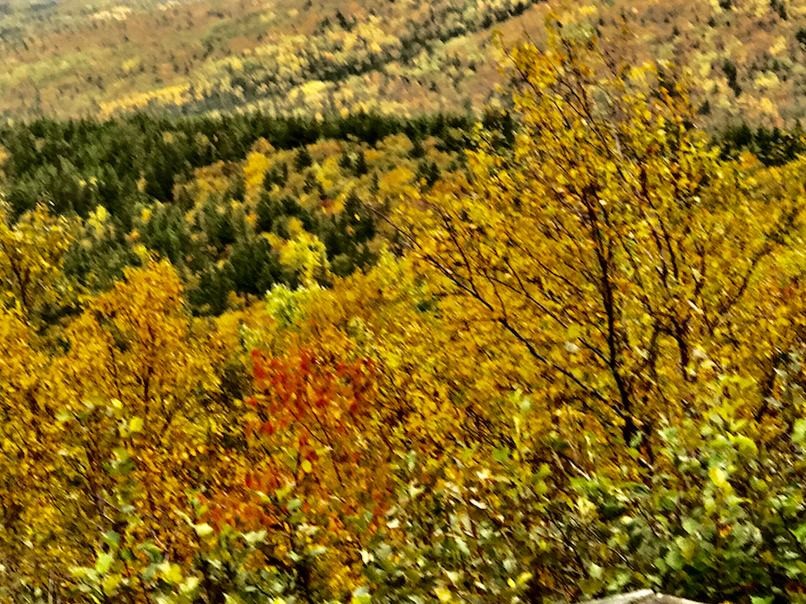 2016.10.17_img_3567.jpg