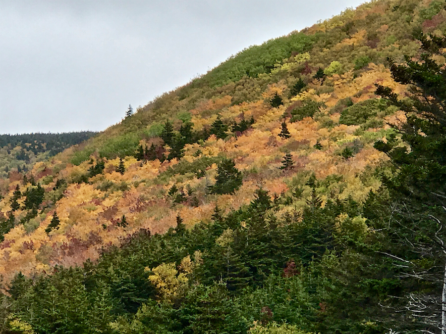 2016.10.18_img_3604.jpg