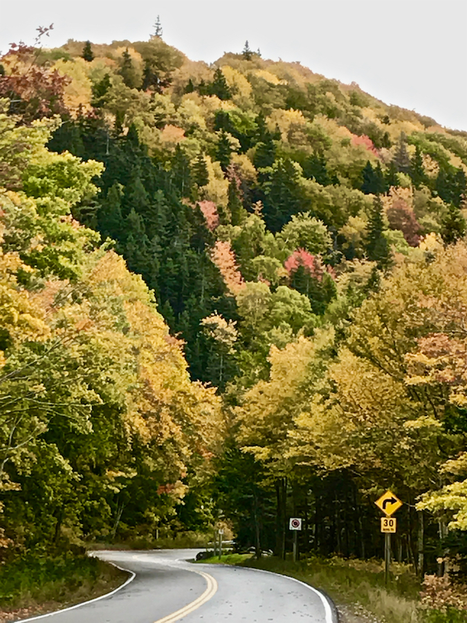 2016.10.18_img_3635.jpg