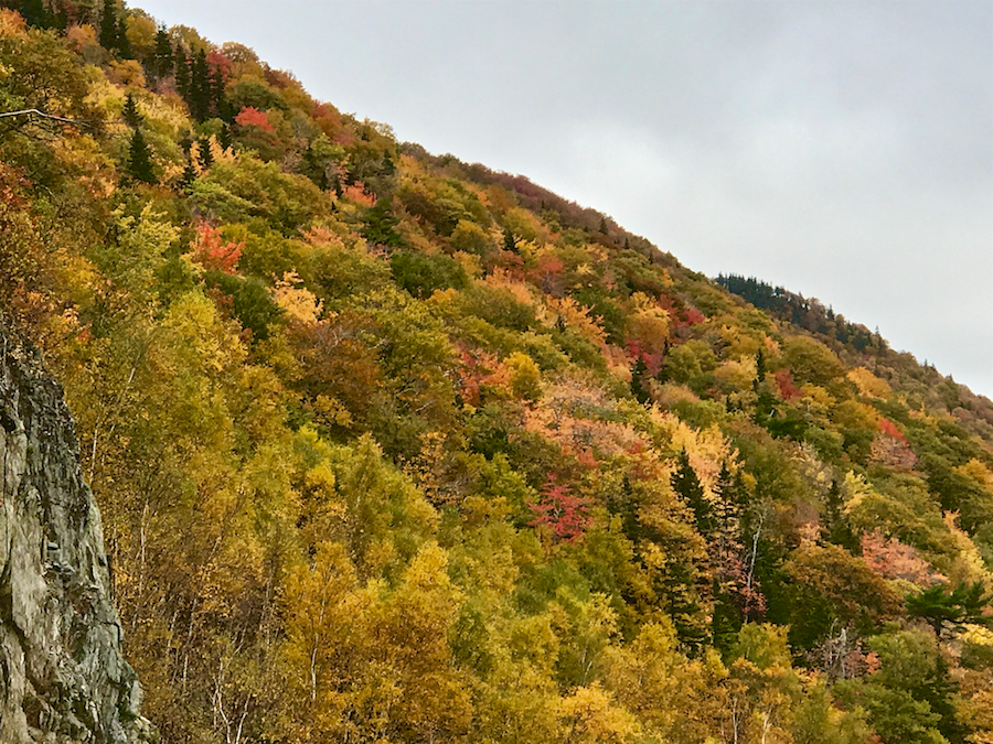 2016.10.18_img_3646.jpg