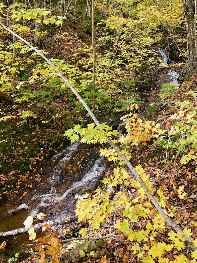 2016.10.18_img_3651.jpg