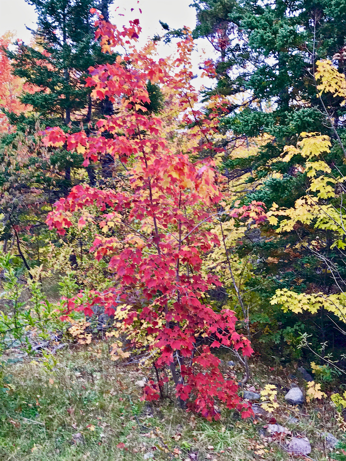2016.10.18_img_3665.jpg