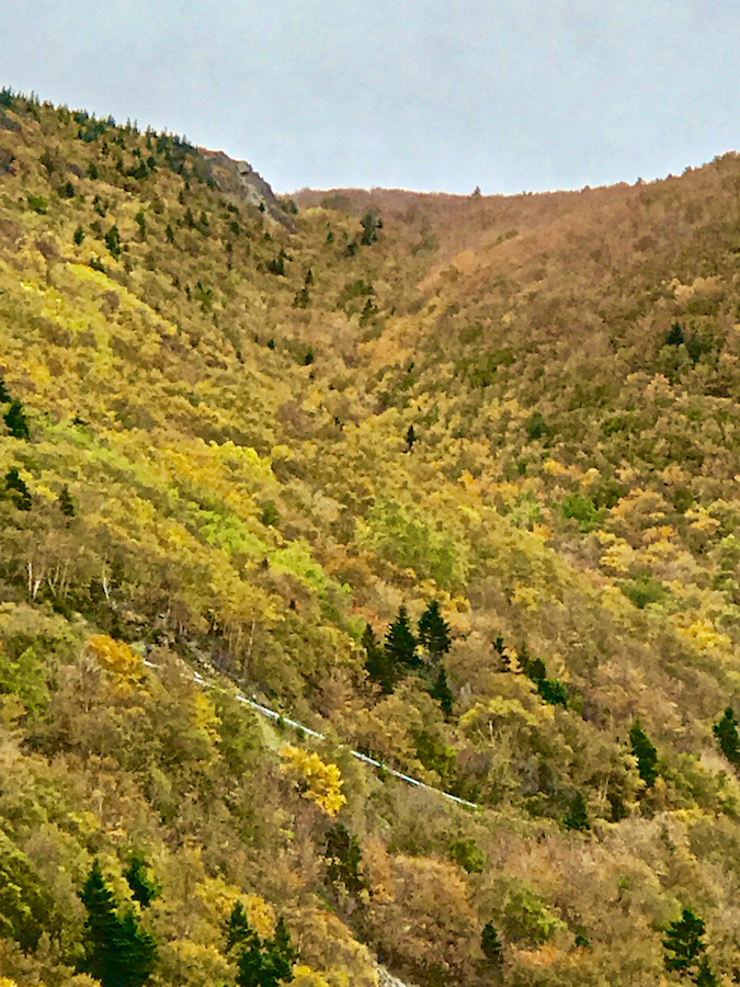 2016.10.18_img_3677.jpg