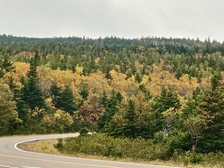 2016.10.19_img_3701.jpg