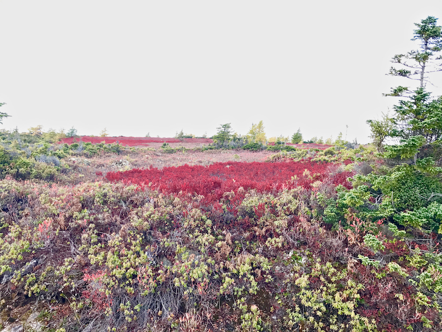 2016.10.19_img_3721.jpg