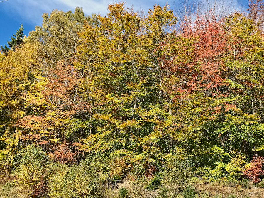2016.10.20_img_3805.jpg