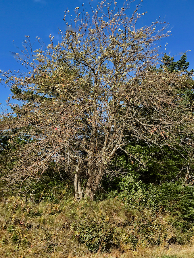 2016.10.23_img_3884.jpg