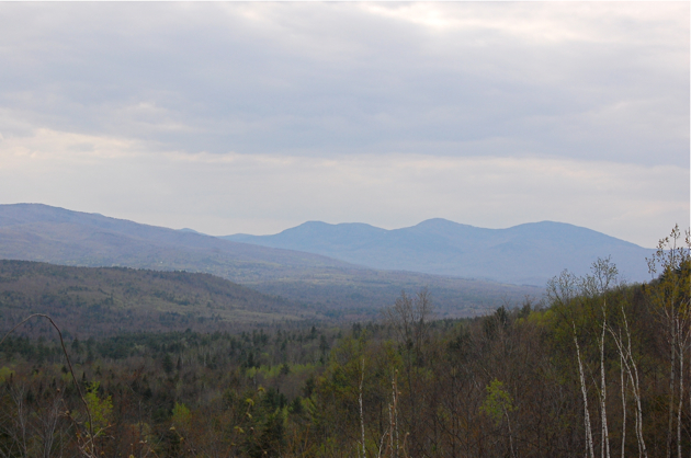 dsc_8955.jpg
