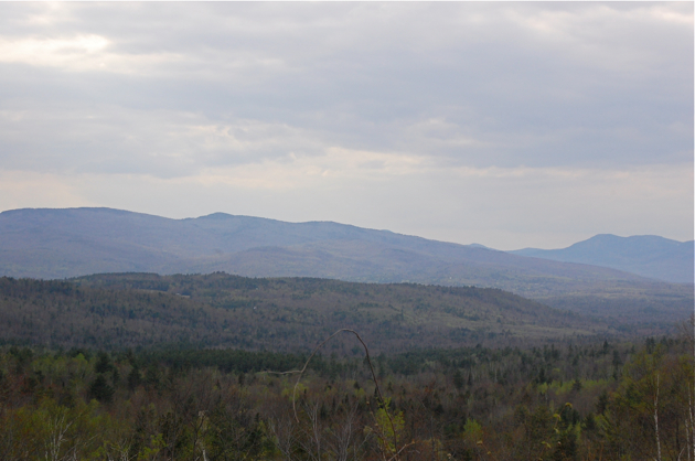 dsc_8956.jpg