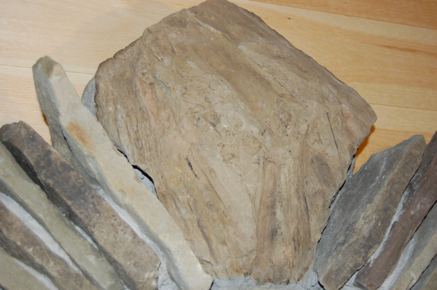 dsc_8982.jpg