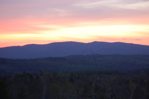 dsc_9073.jpg